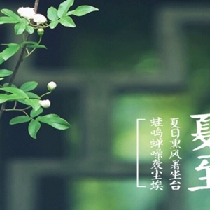 夏至的诗句形容夏至的优美诗词 最好的如约而至！