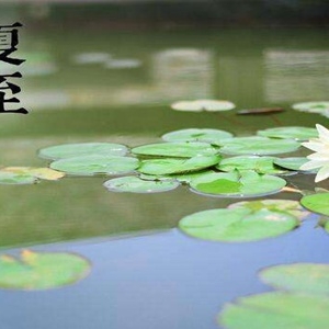 传统节气夏至的唯美古诗词 描写夏至时节的古诗词