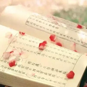 纳兰性德遇上仓央嘉措，将是多么美丽的一副画