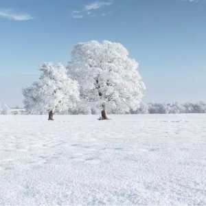 关于雪的诗句有哪些？描写雪的诗句古诗大全100首