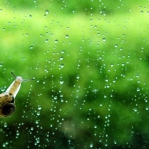 关于雨的诗句大全 精选唯美古风带雨的句子