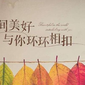 抖音最火歌曲排行版 2019网络流行曲开车必听