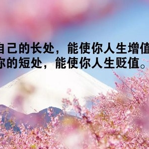励志经典语录，日常生活的经典语录