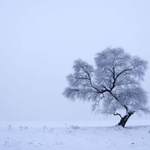 关于雪的优美诗句，下雪有意境的古诗