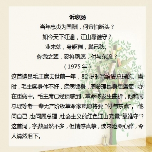 毛译东最好的十首诗词