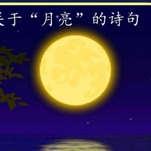 关于月亮的诗句100首 寄托情感唯美浪漫诗词