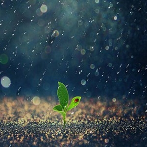 下雨天的心情经典句子，很现实的文案句子短语