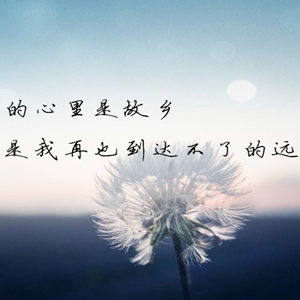 经典有气质内涵的句子，让朋友圈火起来的一句话