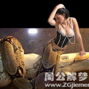 女人做梦梦到好多蛇