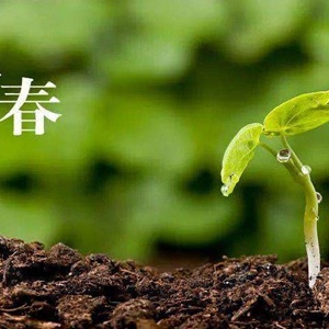 立春是2022的几月几日？立春后多久天气变暖和？