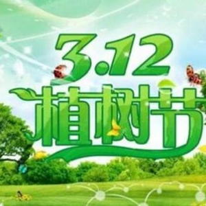 植树节是几月几日的 国内外植树节的由来和意义竟然不一样