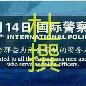 国际警察日是几月几日？3月14日是不是“国际警察日”？