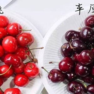 车厘子和樱桃的区别，功效与作用有差别吗？