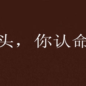 丫头文学是什么梗 丫头文学经典语录有画面感了