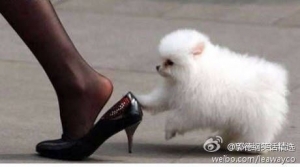 搞笑段子图片带字的图
