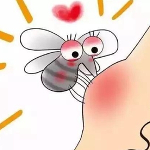 蚊子喜欢咬什么人 夏日如何科学防蚊