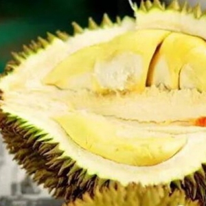 坐月子可以吃什么水果 产妇饮食禁忌千万别忽视