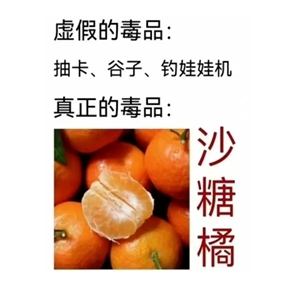 砂糖橘什么梗？炫点砂糖橘是什么意思？
