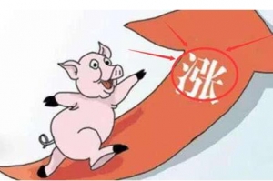 猪肉24年涨30倍 少吃猪肉对健康有利