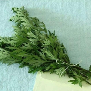 艾草的功效与作用，艾草这样吃才能有效发挥作用