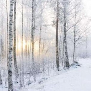 测试你潜意识喜欢谁 三幅雪景图让你明白自己的心意