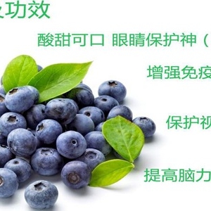 蓝莓的功效与作用不仅仅是护眼，别嫌它贵真的物有所值！