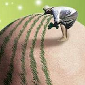 植发可以维持多久呢 植发要多少钱一般