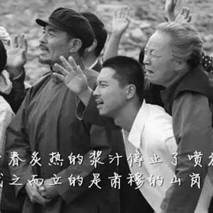 平凡的世界经典语录,为颓丧的你送上励志的正能量