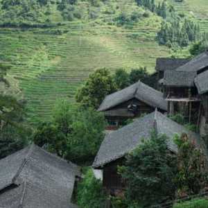 农村赚钱好项目要加强互联网建设