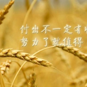 心灵鸡汤工作励志语录，早安励志语录正能量，正能量激励人的好句子 ...