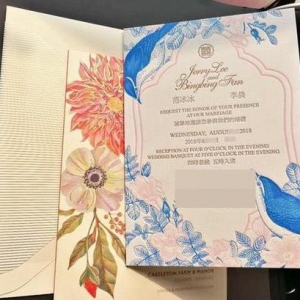 范冰冰与李晨结婚时间