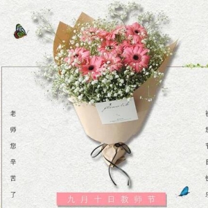 教师节送给老师的话，教师节祝福老师句子，感恩老师的句子 ...