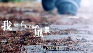 悲伤的话，悲伤语录，世界上最伤感的句子，悲伤的句子一句话签名精选 ...