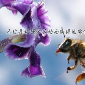 每日奋斗拼搏正能量句子短语说说，送给奋斗在工作学习上的人！ ...