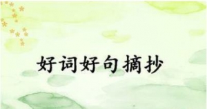好词好句好段大全摘抄，励志好段摘抄大全100字，短一点的好句优美句子摘抄 ...