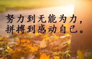 调整心态好好工作的正能量句子，激励自己过好每一天的句子 ...