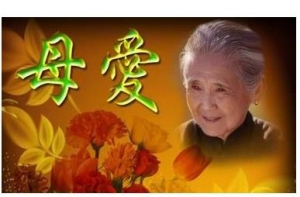 表达母爱的句子好词好句，关于母爱的句子词语大全