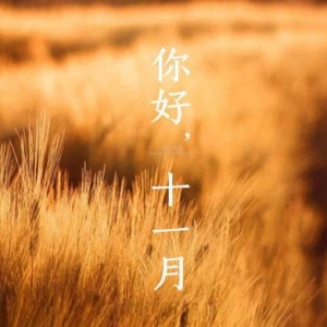 十月再见，十一月你好句子，11月你好图片励志说说