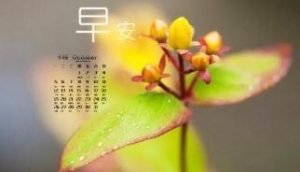 励志的正能量感悟句子，早安问候语句子，每天早晨的好友问候语 ...