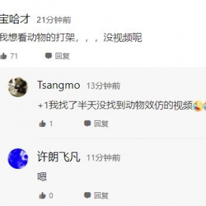 北京动物园游客打架动物纷纷效仿，引网友评论热议
