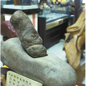 捡块石头价值一亿，取名《生命之源》成为“镇店之宝”