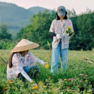 张子枫欧阳娜娜友情感动网友，欧阳娜娜张子枫向往的生活上热搜，张子枫欧阳娜娜友情句 ...
