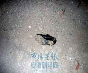 安徽夫妻相隔1年同一地点车祸身亡，太离奇了