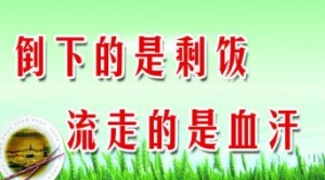 珍惜粮食标语，珍惜粮食的宣传标题，关于珍惜粮食的口号