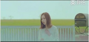 韩语版愿得一人心，原版mv在线观看，附原版中文歌词