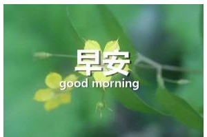周末早安问候语发朋友圈，周六早安问候语精选，周末愉快的句子图片 ...
