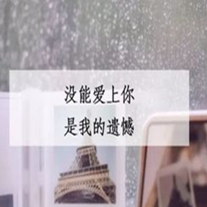 表示遗憾的句子，及时把握不留悔恨