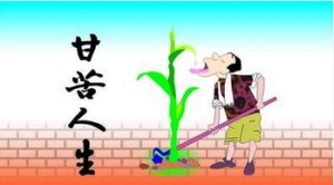 人生哲理与感悟，有哲理的话之人在什么时候最明白
