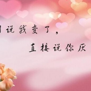 精辟到毒死人的句子,看透了一切的经典句子