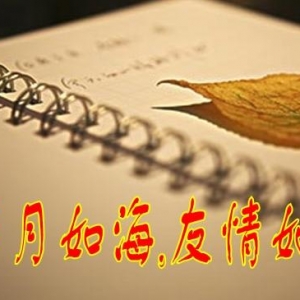 友情哲理句子，有些人慢慢地就散了；有些情渐渐地就淡了